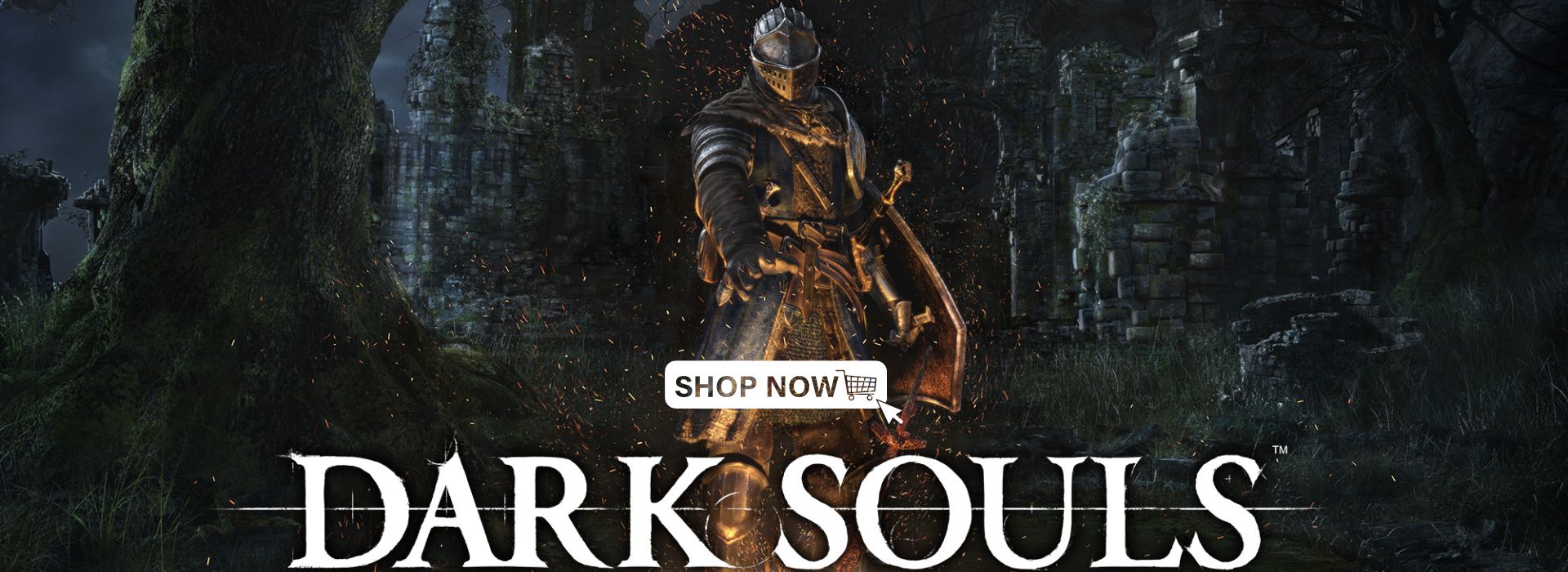 Dark Souls Store Banner